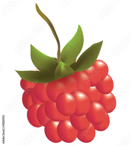 lampone