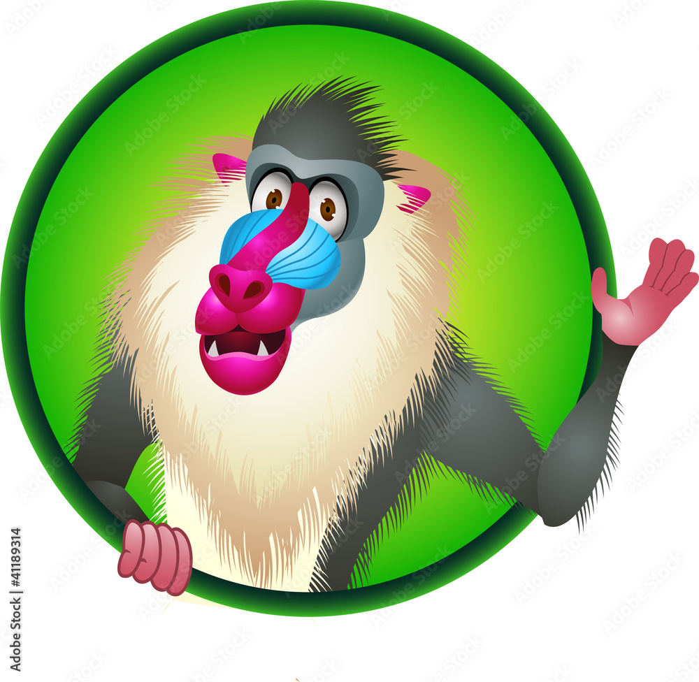 Obraz premium Baboon cartoon