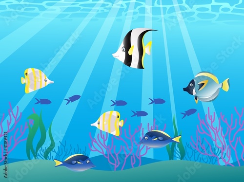 Sea life background