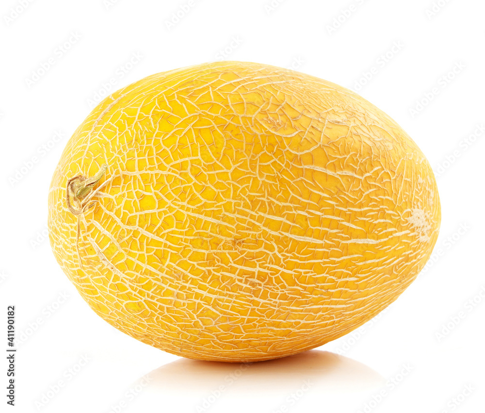 fresh ripe melon fresh ripe melon