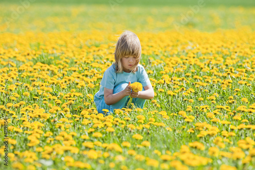 boy picking dandelions