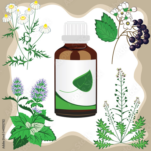 medicinal herbs  with bottle, vector illustration