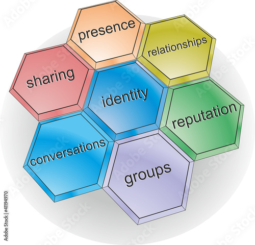A set of functional bricks defines a social network type