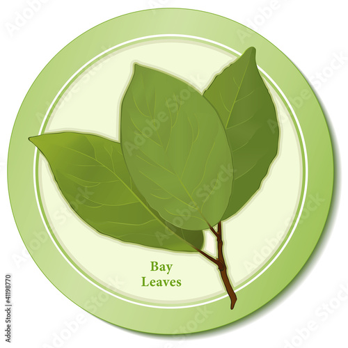 Bay Leaves Herb, for cooking, French blend Bouquet garni. photo