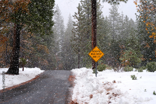 School Bus Stop Sign And Storm photo
