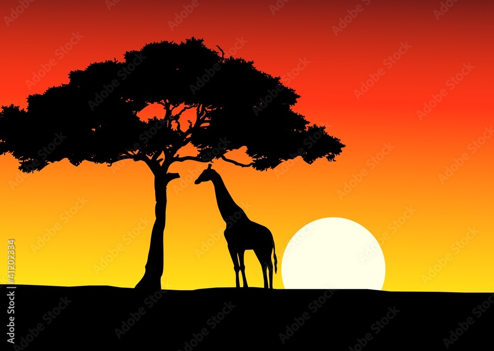 African Sunset background with giraffe