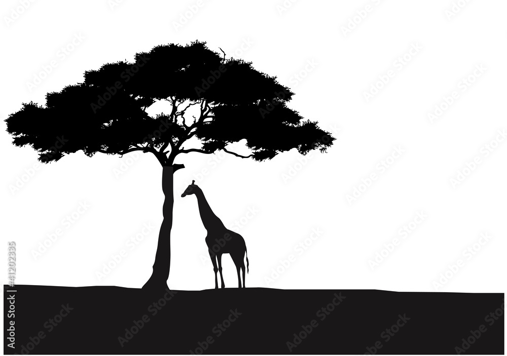 Fototapeta premium Giraffe silhouette background