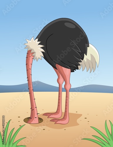 Ostrich hiding head in sand