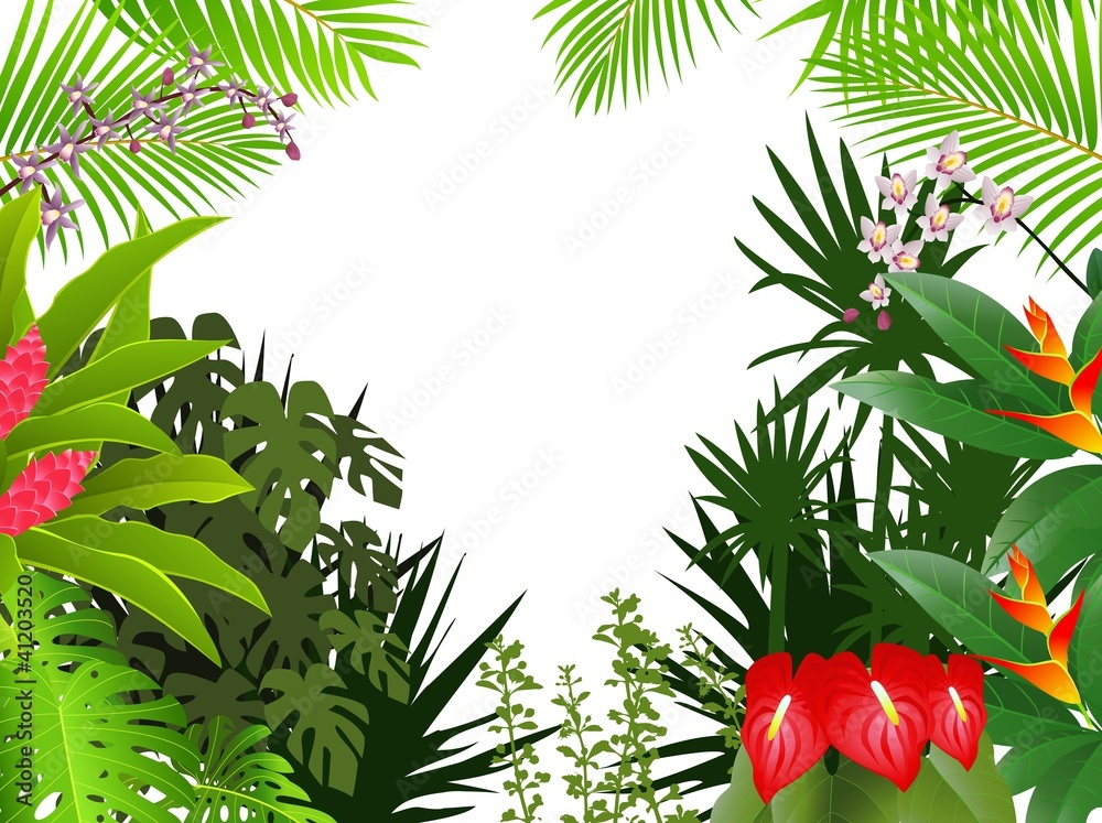 Obraz premium tropical forest background