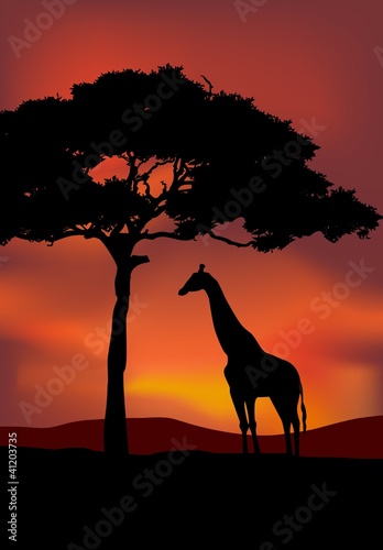 African sunset background with giraffe silhouette