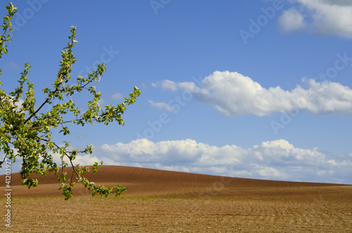 the plowed fields