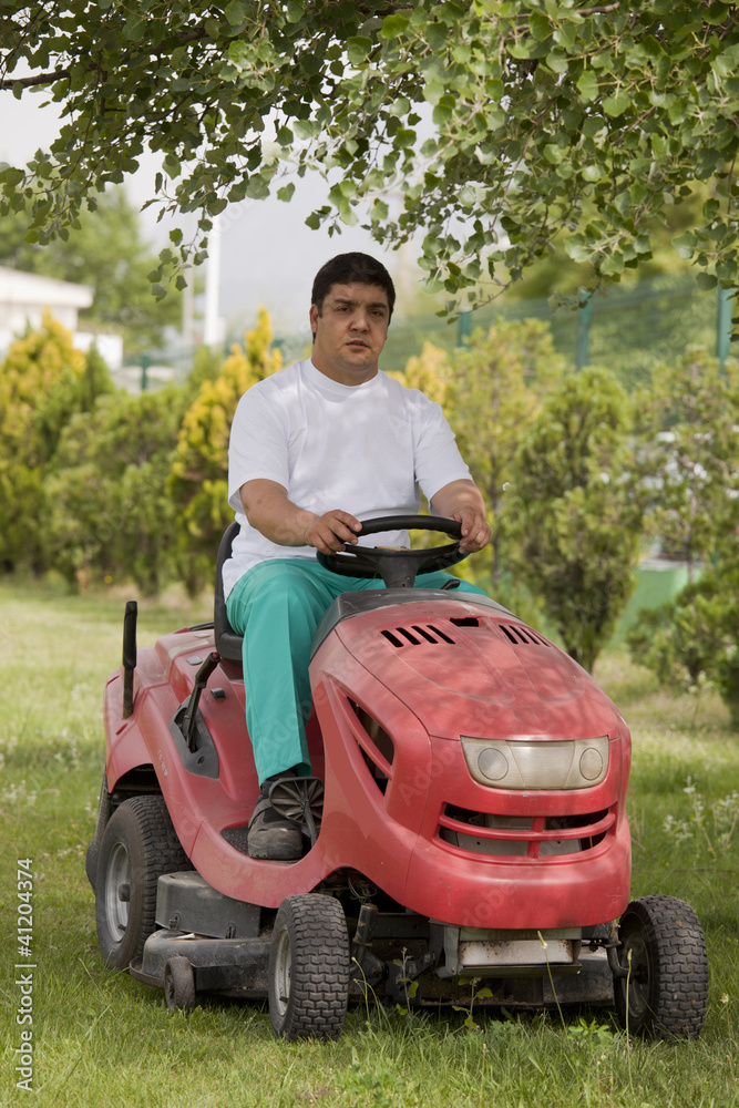 Fototapeta premium Ride-on lawn mower cutting grass