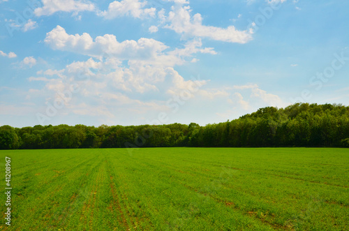 Grain in landscapes