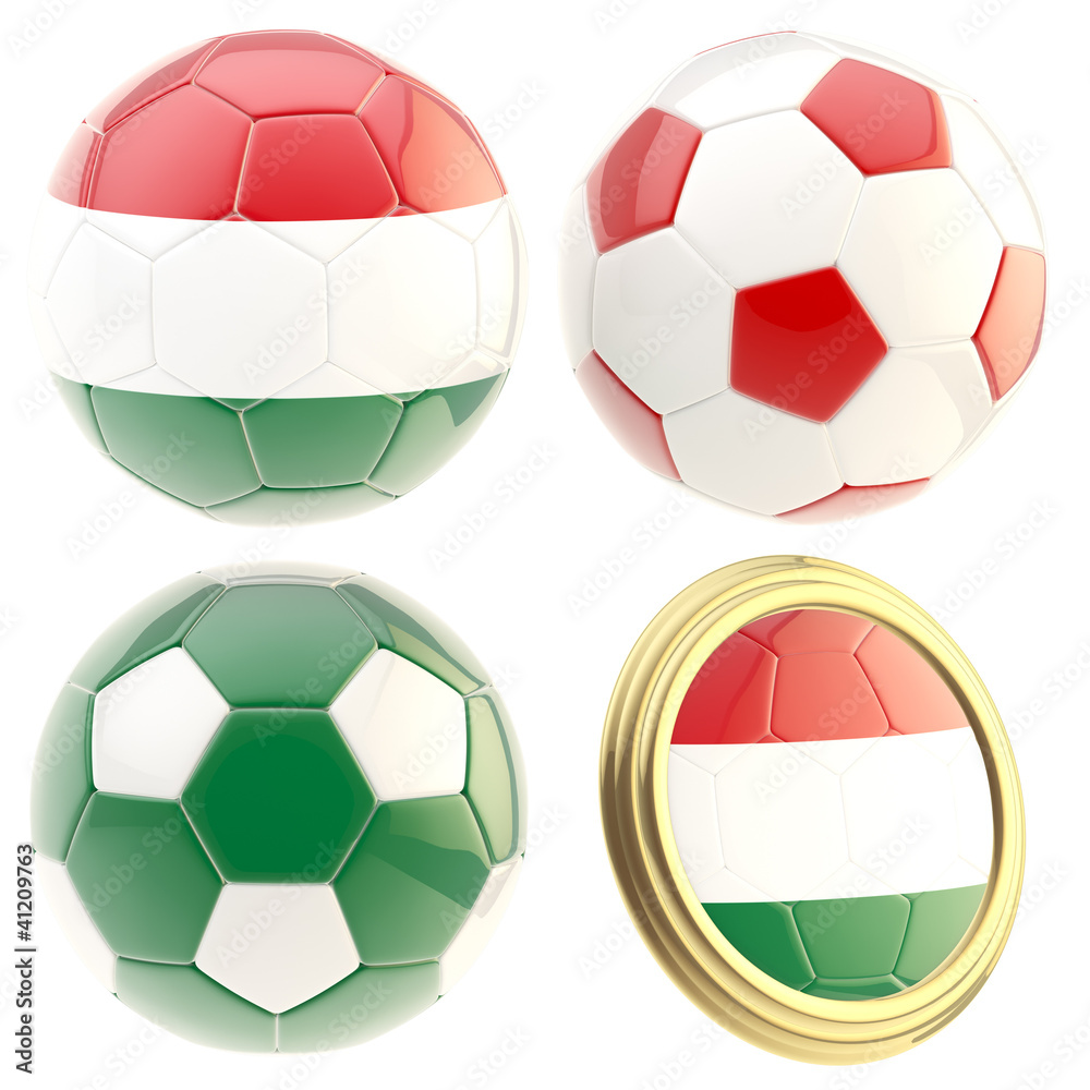Obraz premium Hungary football team attributes isolated