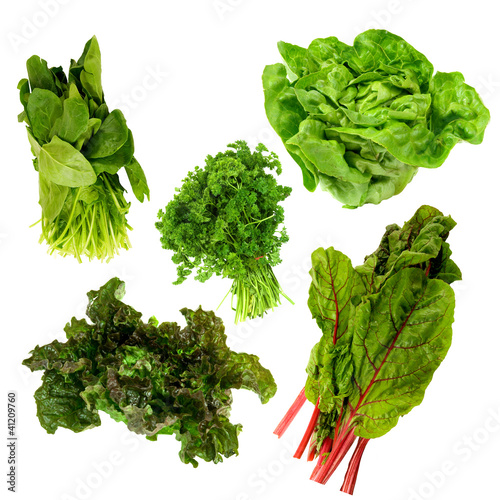 healthy dark green vegetables on a white background