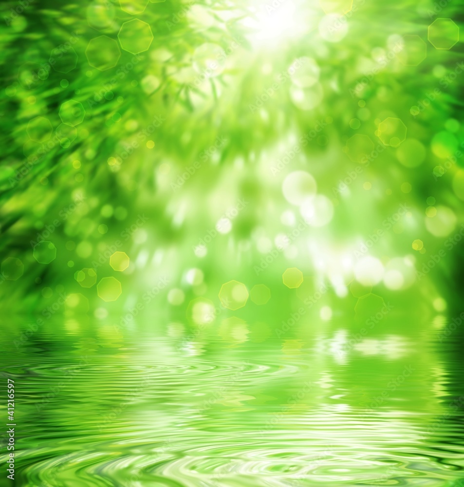 Fototapeta premium Abstract Bamboo Forest.