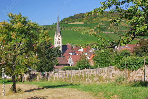 in der Ortenau an der Badischen Weinstrasse im Schwarzwald photo