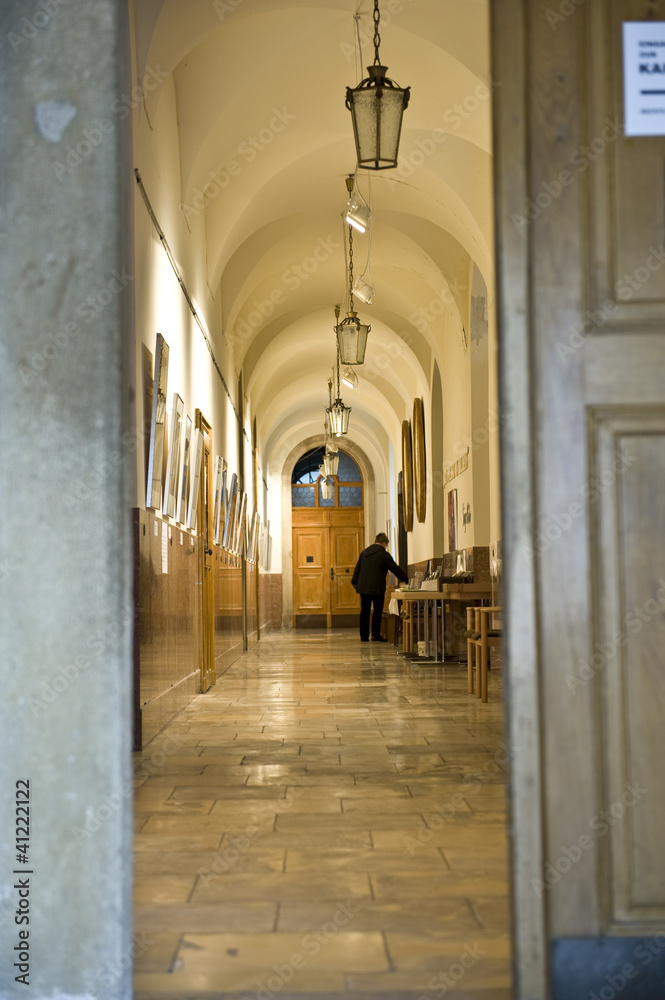 Fototapeta premium Ambassador Vienna