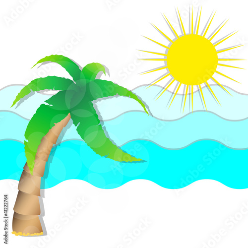 a palm tree on beach