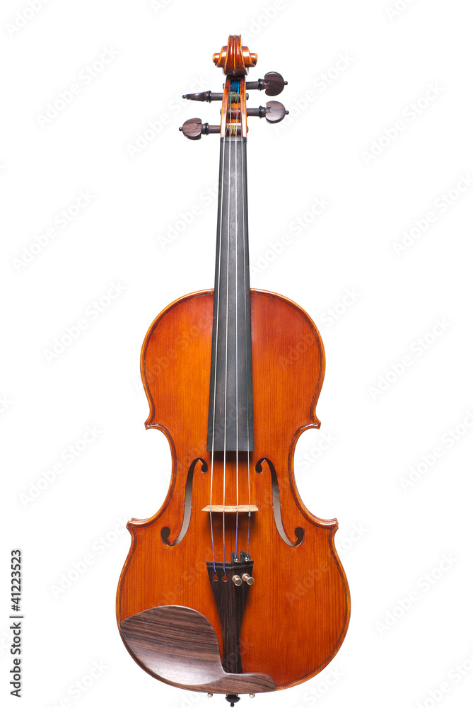 violin violin