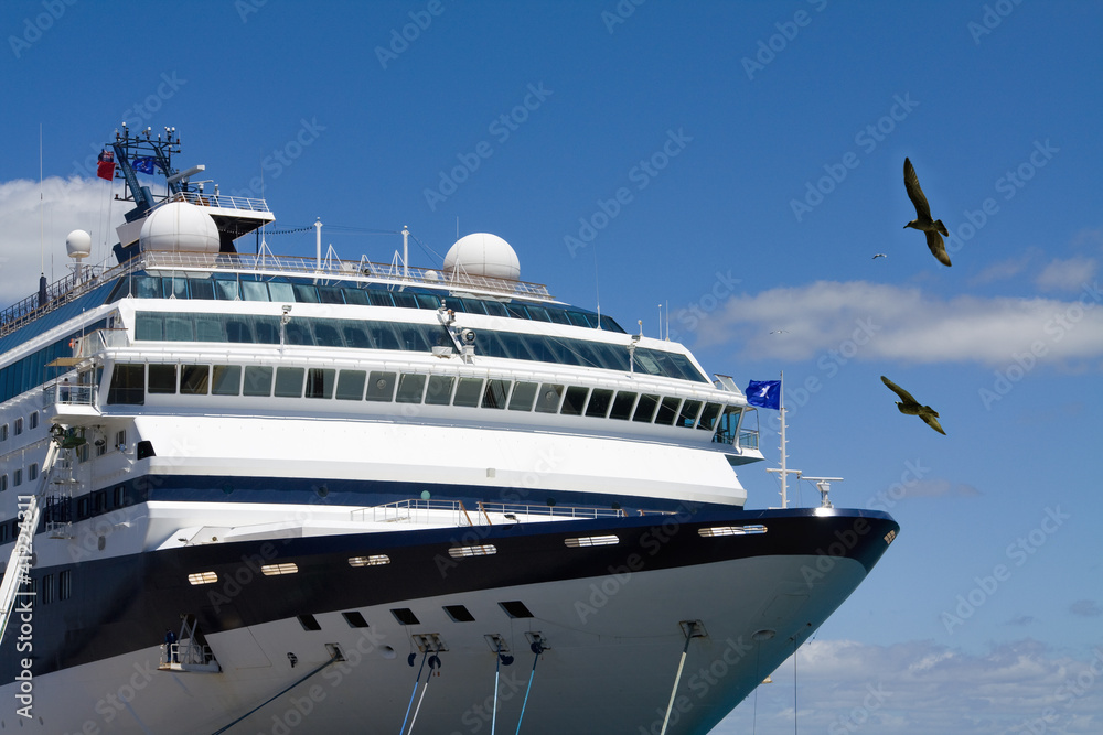 Naklejka premium Cruise liner