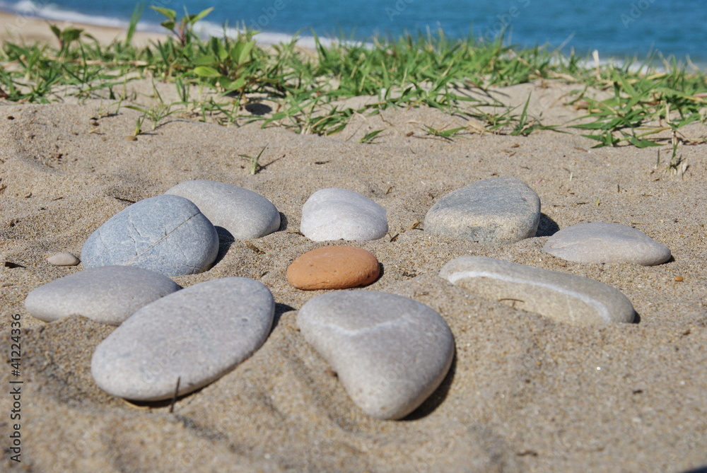 Obraz premium flower of stones on the sand, spring game