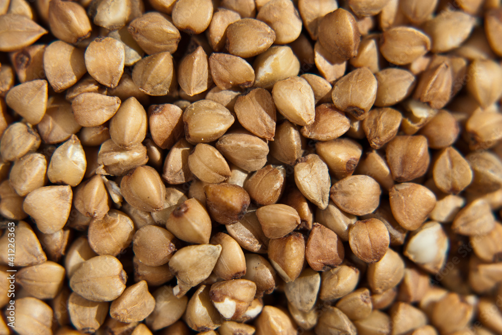 Buckwheat Buckwheat