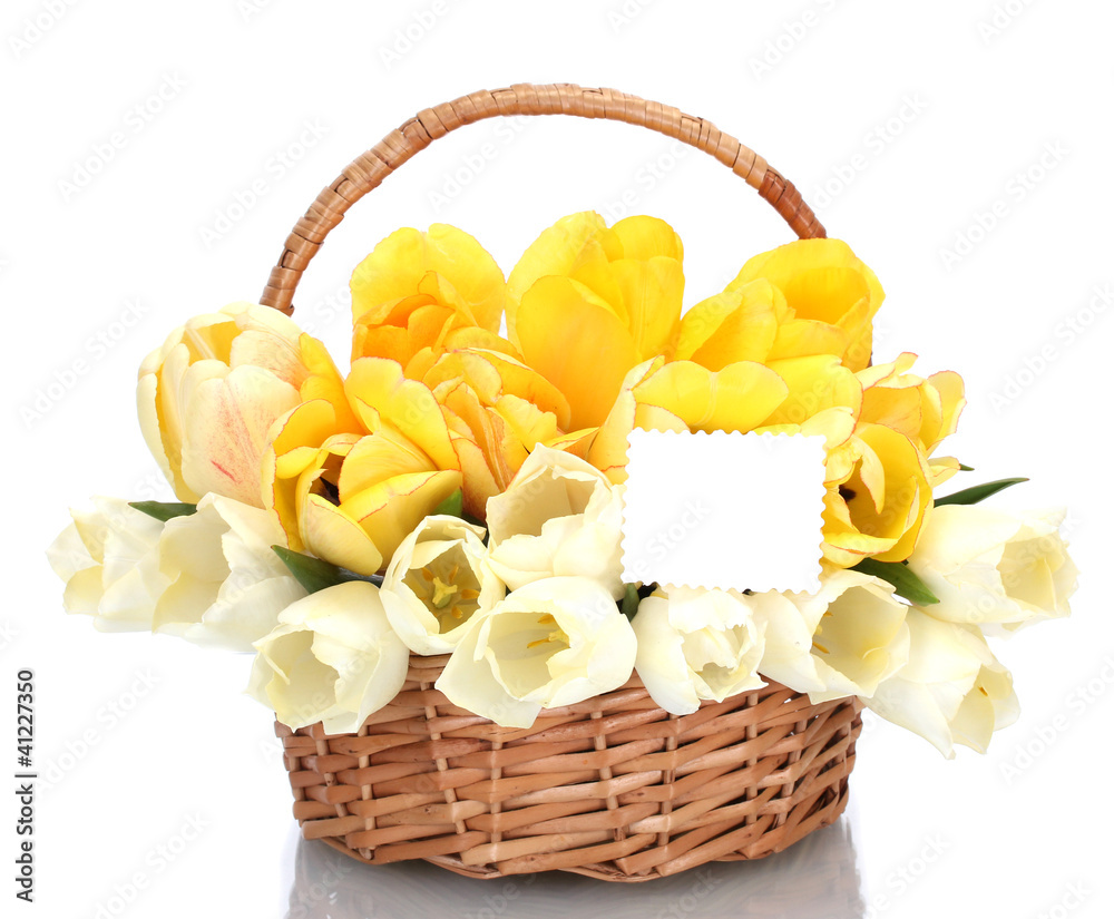 beautiful tulips in basket isolated on white.