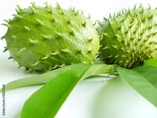 Slika na platnu Soursop (Annona muricata)