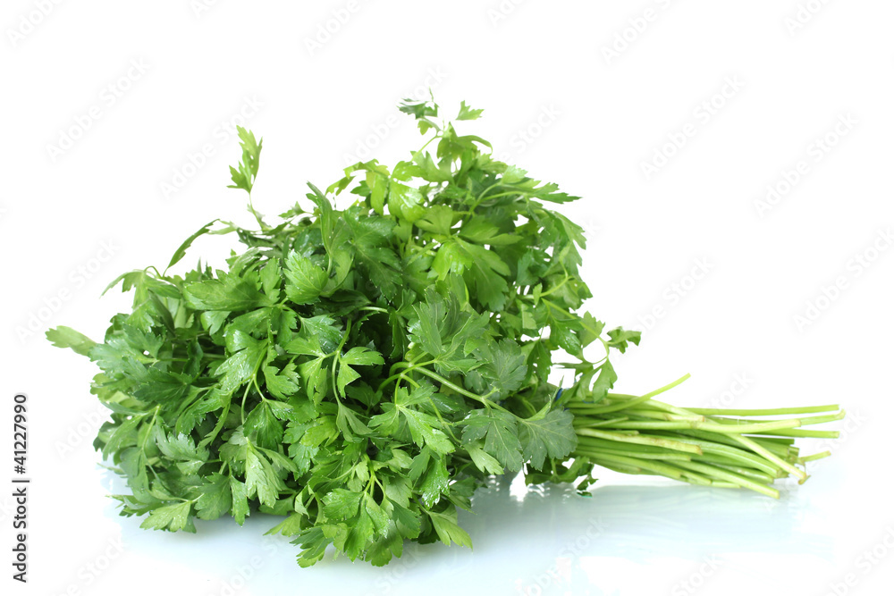 parsley isolated on white parsley isolated on white