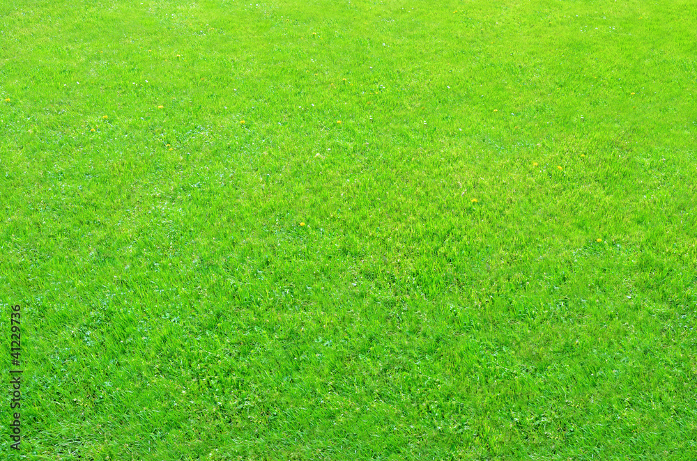 Green grass Green grass