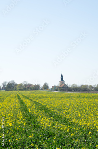 Rapeseed with church