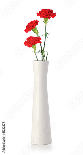 Three carnation flowers in white vase