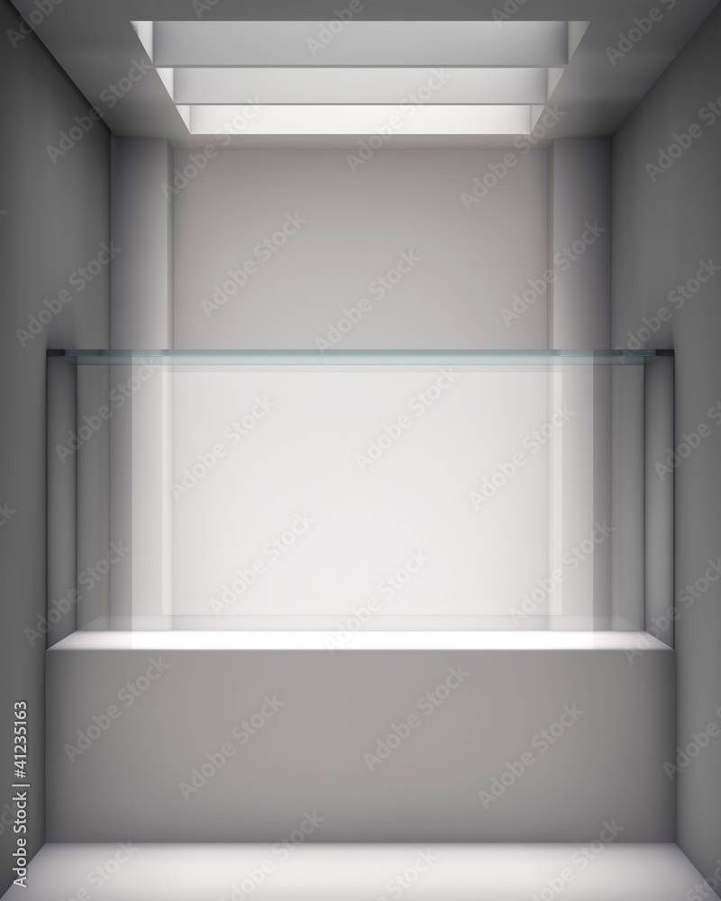 3d glass showcase and niche for exhibit in the gallery