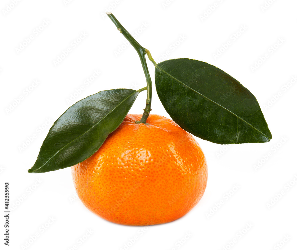 Mandarine Mandarine