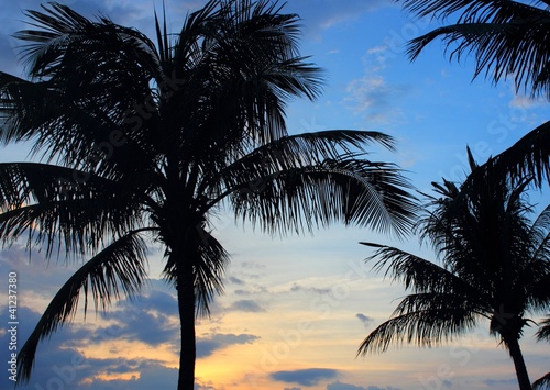 Sunset with Palmtrees