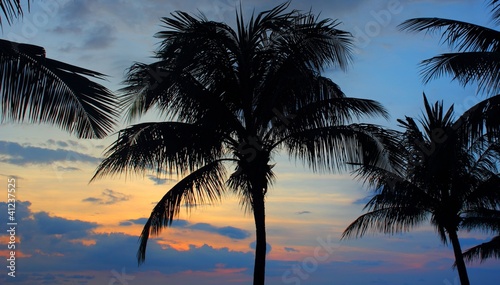 Sunset with Palmtrees