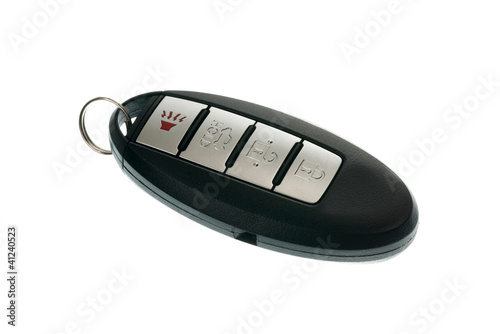 Slika na platnu Keyless wireless door opener fob