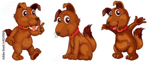 Dog series