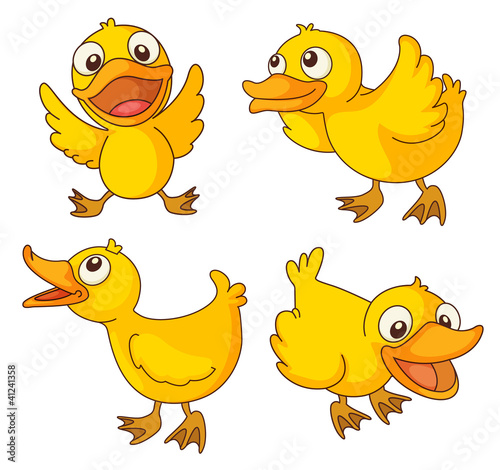 Chicks