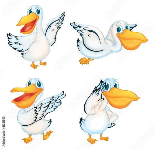 Pelican series