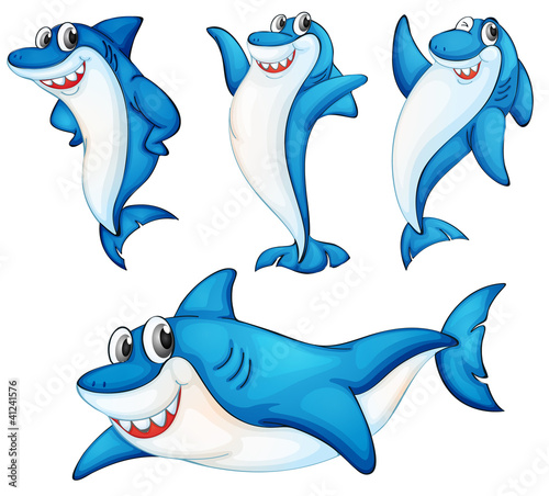 Shark series