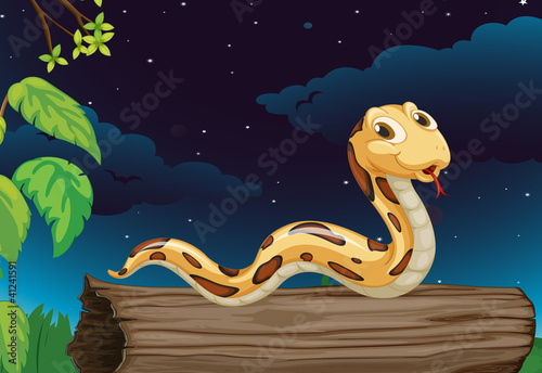 snake