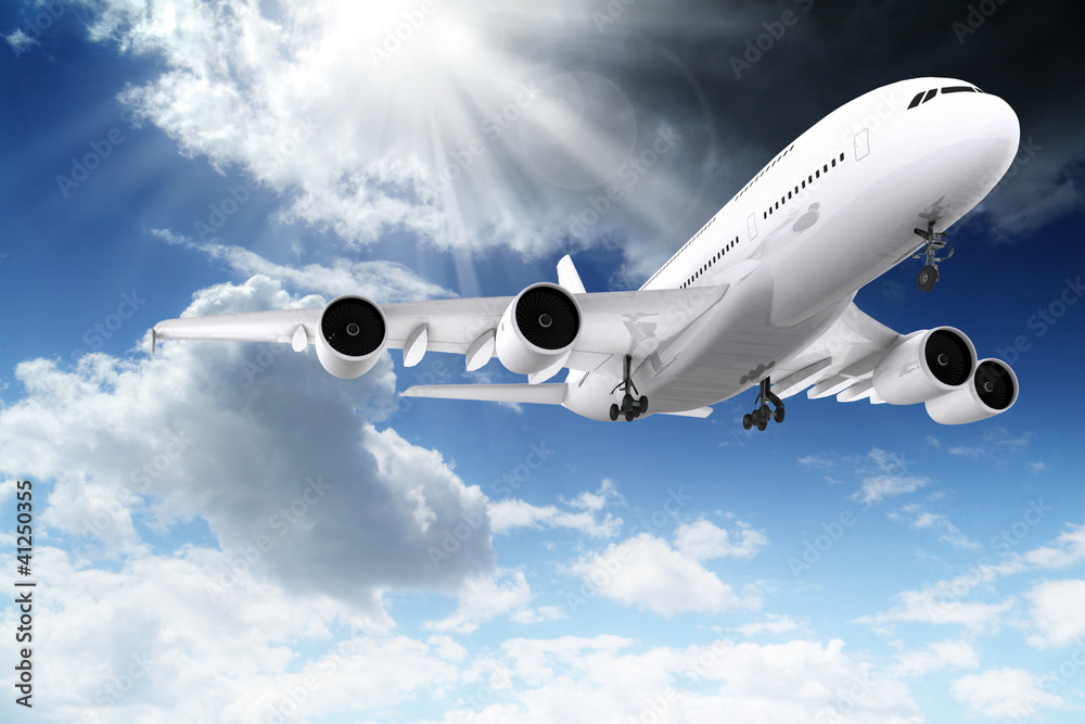 Fototapeta premium Airplane in the sky