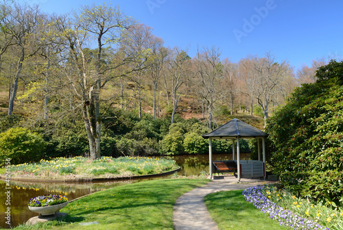 Wallpaper Mural Beautiful Swedish park in spring season Torontodigital.ca