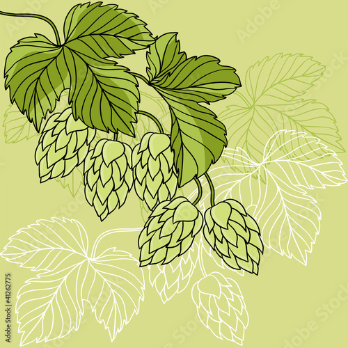 Hop Ornament On Green Grunge Background, Vector Illustration