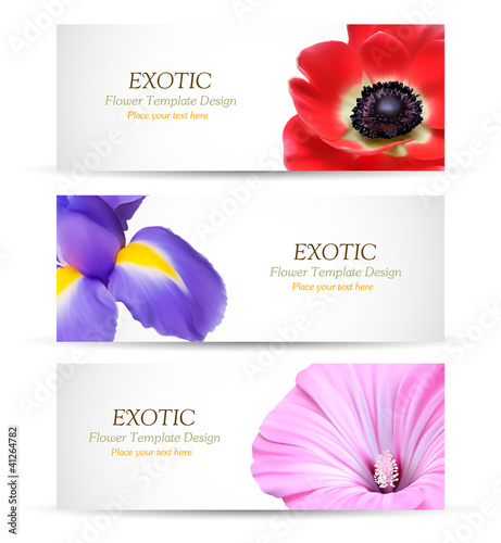 Fototapeta Naklejka Na Ścianę i Meble -  Spring flowers background design for banner or brochures