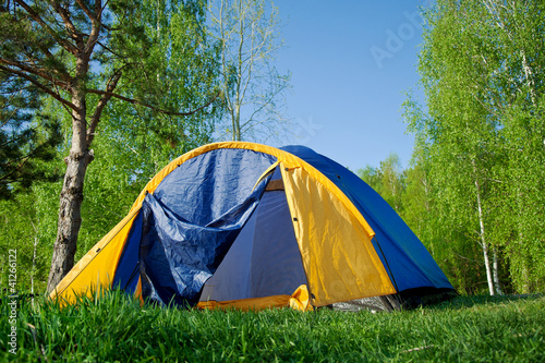 colourful Camping Tent in the forest