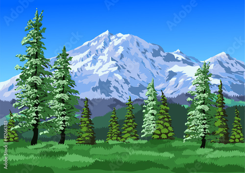 mountains with trees