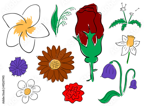 Vector primitive flowers collection on the white background